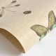 FLAX WALLPAPER | Insects Encyclopedia | FWP-ENC-01